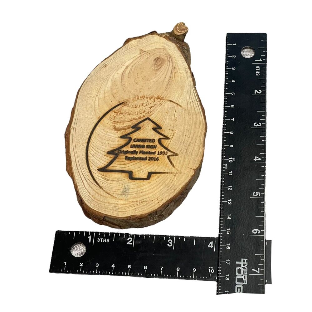 Canisteo Living Sign 5x6 Tree Ring Cutting Planted 1933 Replanted 2016 - Picture 6 of 6